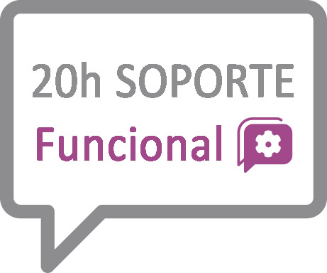 20h Soporte, formación y configuración funcional